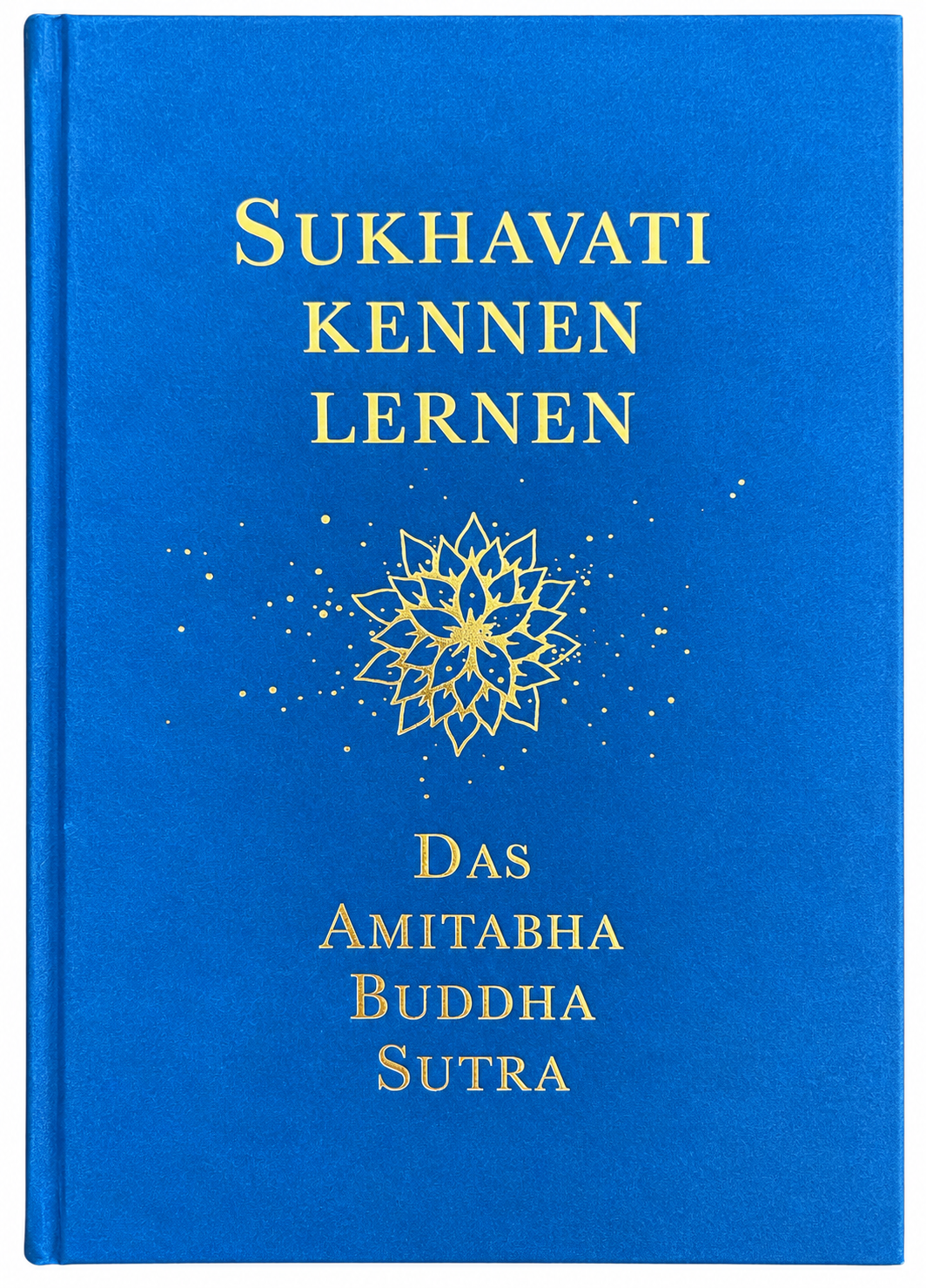 Sukhavati kennenlernen – Bild 1